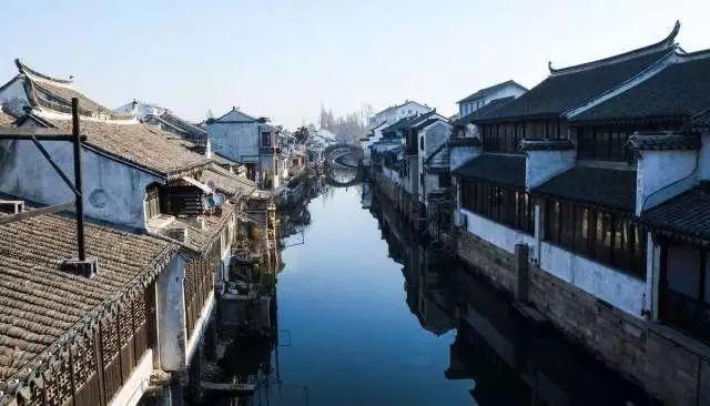 细胞分裂6